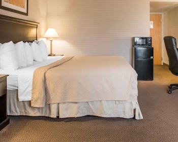 Standard Room, 1 King Bed, Non Smoking