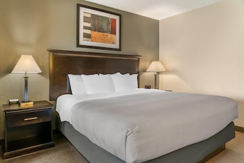 Standard Room, 1 King Bed, Non Smoking
