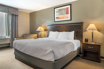 Room, 1 Queen Bed with Sofa bed, Accessible, Non Smoking (Roll-In Shower)