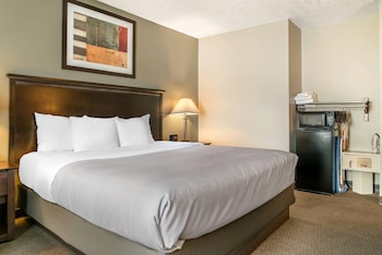 Room, 1 Queen Bed with Sofa bed, Accessible, Non Smoking (Roll-In Shower)