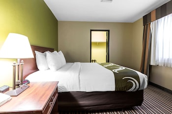 Standard Room, 1 King Bed, Non Smoking