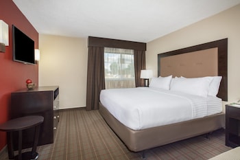 Suite, 1 King Bed, Accessible (Hearing, Roll-In Shower)