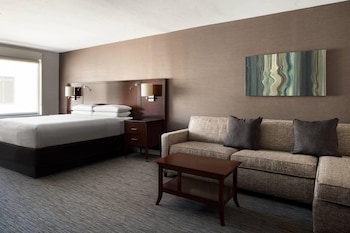 Room, 1 King Bed with Sofa bed