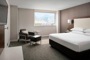 Room, 1 King Bed with Sofa bed