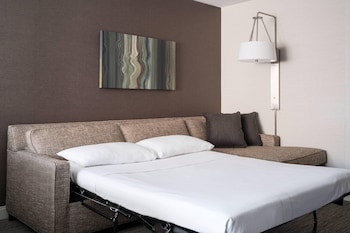 Room, 1 King Bed with Sofa bed