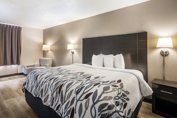 Deluxe Room, 1 King Bed, Non Smoking