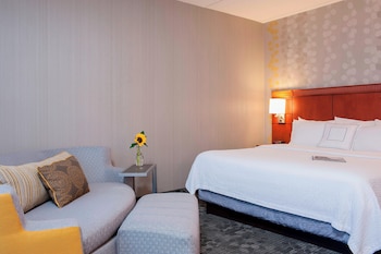 Room, 1 King Bed with Sofa bed