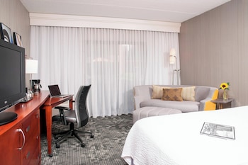 Room, 1 King Bed with Sofa bed