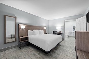 Room, 1 King Bed, Accessible, Non Smoking