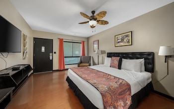 Basic Twin Room