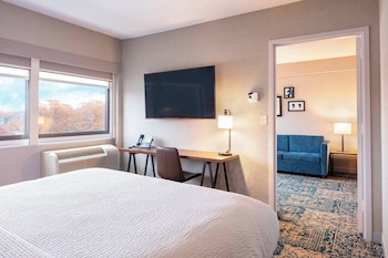 Suite, 1 King Bed with Sofa bed