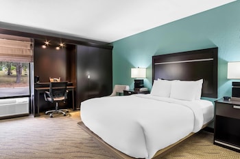 Room, 1 Queen Bed, Accessible, Non Smoking (Roll-in Shower)