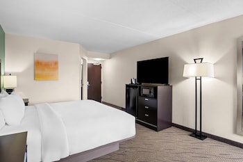 Standard Room, 1 King Bed, Non Smoking