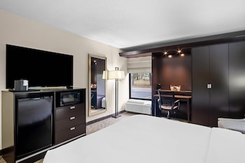 Room, 1 Queen Bed, Accessible, Non Smoking (Roll-in Shower)