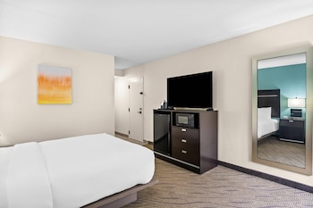 Room, 1 Queen Bed, Accessible, Non Smoking (Roll-in Shower)