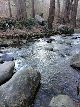 Creekside Two Queens - No Pets