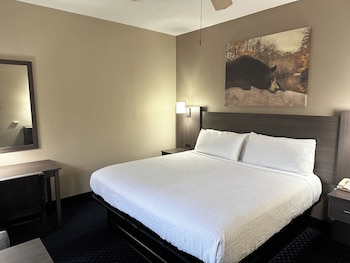 King Bed Deluxe - No Pets