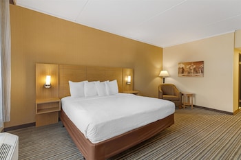Deluxe Room, 1 King Bed, Non Smoking, Refrigerator & Microwave