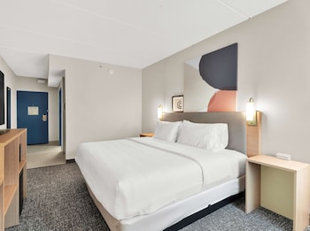 Room, 1 King Bed, Accessible (Mobility, Roll-In Shower)