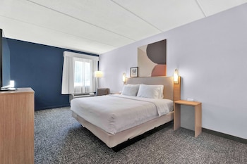 Room, 1 King Bed, Accessible (Mobility, Roll-In Shower)
