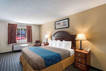 Room, 1 King Bed, Non Smoking