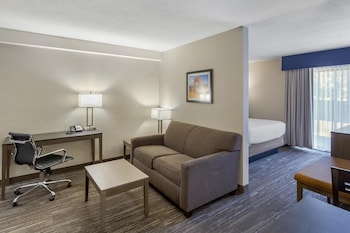 Suite, 1 Queen Bed, Non Smoking, Kitchenette (with Sofabed)