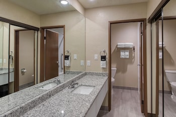 Suite, 1 King Bed, Non Smoking, Kitchenette (with Sofabed)
