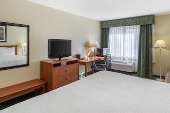 Standard Room, 1 King Bed, Non Smoking (with Sofabed)