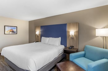 Standard Room, 1 King Bed, Non Smoking, Refrigerator & Microwave