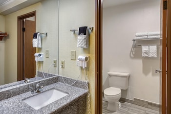 Standard Room, 2 Queen Beds, Non Smoking, Refrigerator & Microwave (Pet Friendly)