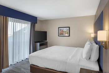 Suite, 1 King Bed, Non Smoking, Kitchenette (with Sofabed)