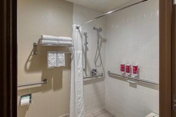 Standard Room, 1 King Bed, Accessible, Refrigerator & Microwave