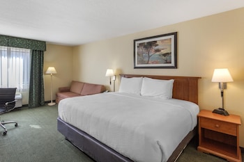 Standard Room, 1 King Bed, Non Smoking (with Sofabed)