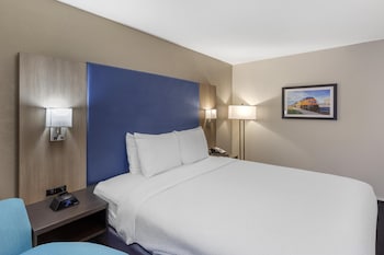 Standard Room, 1 King Bed, Accessible, Refrigerator & Microwave