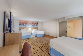 Room, Non Smoking, Refrigerator & Microwave