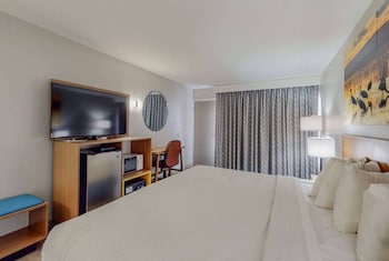 Standard Room, 1 King Bed