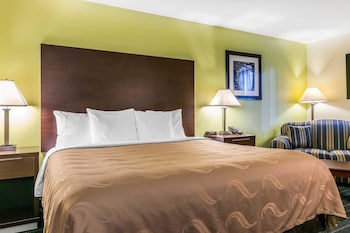 Standard Room, 1 King Bed, Non Smoking