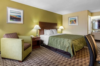 Standard Room, 1 King Bed, Non Smoking