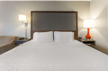 Room, 1 King Bed, Accessible, Non Smoking (Mobility & Hearing, Roll-in Shower)
