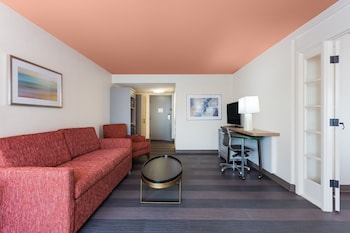 Suite, 1 Queen Bed