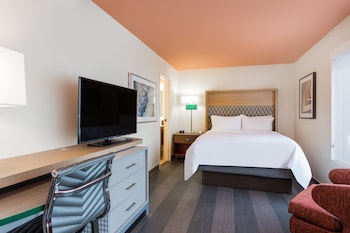 Suite, 1 Queen Bed