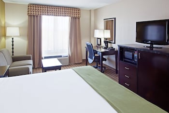 Suite, 1 King Bed with Sofa bed