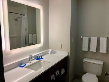 Suite, 1 King Bed with Sofa bed