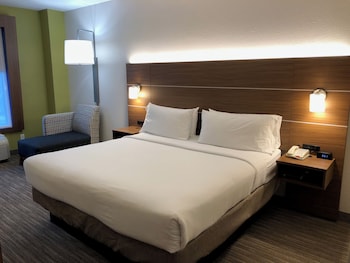 Suite, 1 King Bed with Sofa bed