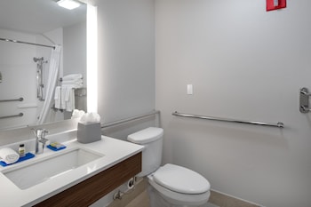 Suite, 1 King Bed with Sofa bed