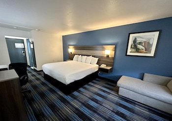Room, 1 King Bed, Accessible, Non Smoking (Mobility/Hearing, Roll-In Shower)