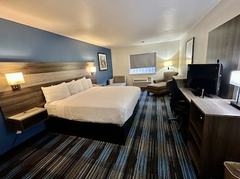 Room, 1 King Bed, Accessible, Non Smoking (Mobility/Hearing, Roll-In Shower)