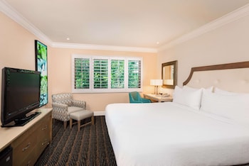 Room, 1 King Bed