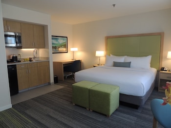 Studio Suite, 1 King Bed, Kitchenette