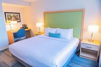 Superior Room, 1 King Bed